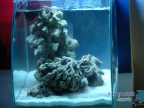 20 Liter Nano Cube