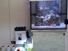 Reef Tank Türe geschlossen