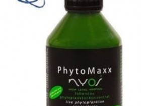 phyto nyos.jpg